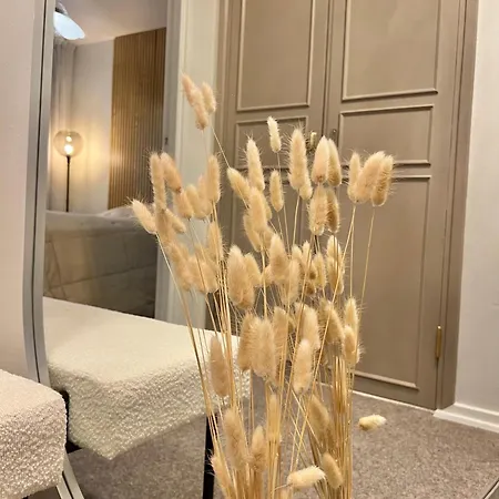 Premium Cityhome -free Wifi & Parking Rovaniemi