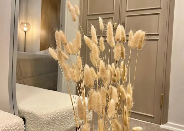 Premium Cityhome -free Wifi & Parking 罗瓦涅米